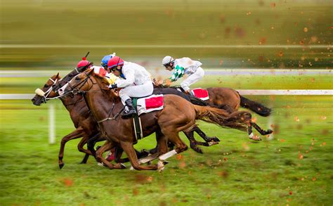 BET ON LIVE RACING! .